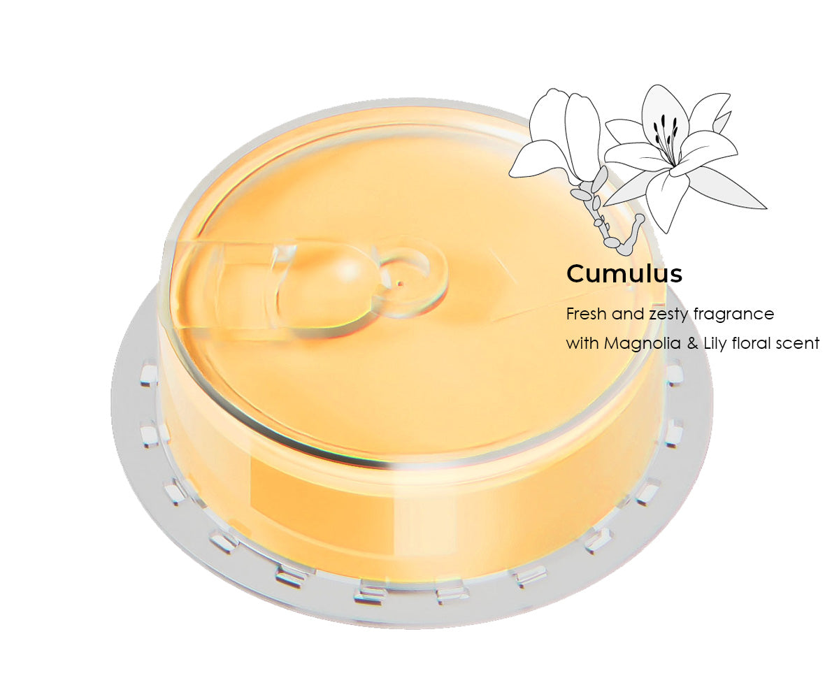 Replacement Vitamin C Filter